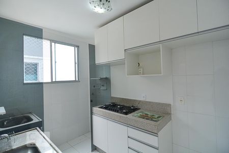 Cozinha de apartamento para alugar com 2 quartos, 48m² em Betânia, Belo Horizonte