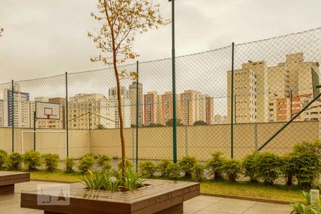 Quadra esportiva de apartamento para alugar com 1 quarto, 50m² em Vila Gomes Cardim, São Paulo