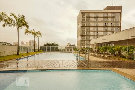 Piscina de apartamento para alugar com 1 quarto, 50m² em Vila Gomes Cardim, São Paulo