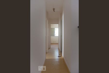 Corredor de apartamento para alugar com 2 quartos, 50m² em Jardim Dom Vieira, Campinas