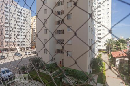 Vista do quarto 1 de apartamento para alugar com 2 quartos, 50m² em Jardim Dom Vieira, Campinas