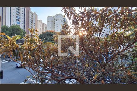 Studio para alugar com 17m², 1 quarto e sem vagaVista