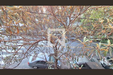 Studio para alugar com 17m², 1 quarto e sem vagaVista