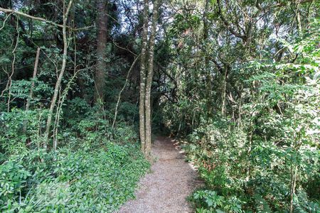 Apartamento para alugar com 60m², 2 quartos e 1 vaga Apartamento para alugar com 60m², 2 quartos e 1 vagaBosque