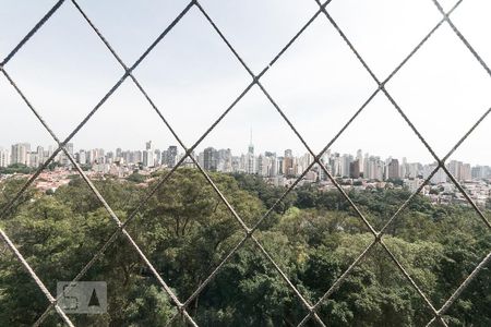 Vista da sala de apartamento à venda com 3 quartos, 80m² em Cambuci, São Paulo