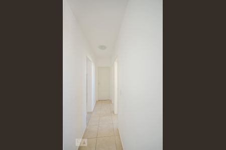 CORREDOR de apartamento para alugar com 2 quartos, 47m² em Betânia, Belo Horizonte