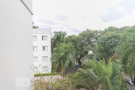 Vista de apartamento à venda com 2 quartos, 55m² em Jardim Miranda, Campinas