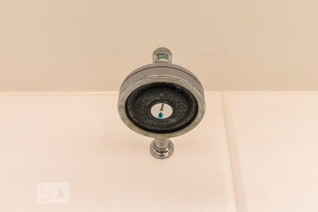 Chuveiro de apartamento para alugar com 4 quartos, 394m² em Jardim Anália Franco, São Paulo