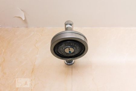 Chuveiro de apartamento para alugar com 4 quartos, 394m² em Jardim Anália Franco, São Paulo