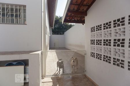 Casa à venda com 350m², 3 quartos e 8 vagasQuintal