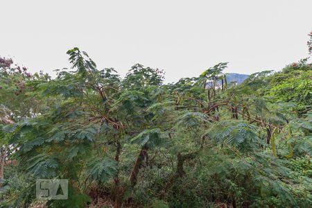 Vista da Sala de apartamento para alugar com 2 quartos, 52m² em Vargem Pequena, Rio de Janeiro