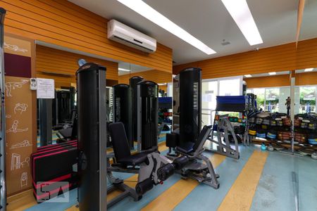 Apartamento para alugar com 70m², 2 quartos e 1 vaga Apartamento para alugar com 70m², 2 quartos e 1 vagaÁrea comum - Academia