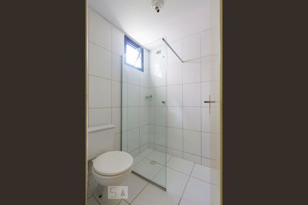 Banheiro social de apartamento para alugar com 2 quartos, 51m² em Vila Santa Catarina, São Paulo