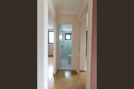 Corredor de apartamento para alugar com 2 quartos, 50m² em Vila Bertioga, São Paulo