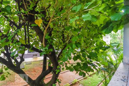 Vista Sala de apartamento para alugar com 2 quartos, 55m² em Freguesia (jacarepaguá), Rio de Janeiro