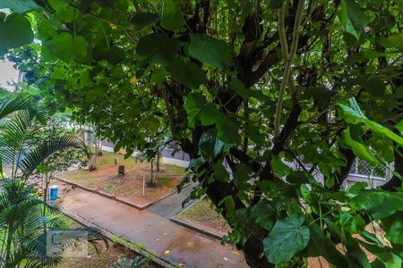 Apartamento para alugar com 55m², 2 quartos e 1 vaga Apartamento para alugar com 55m², 2 quartos e 1 vagaVista Área de Serviço