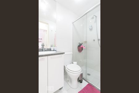 Banheiro  de apartamento para alugar com 2 quartos, 55m² em Cambuci, São Paulo