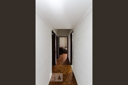 corredor de apartamento para alugar com 3 quartos, 84m² em Parque São Jorge, São Paulo