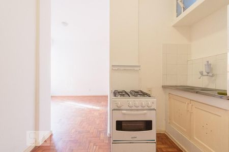 Cozinha de kitnet/studio para alugar com 1 quarto, 23m² em Laranjeiras, Rio de Janeiro