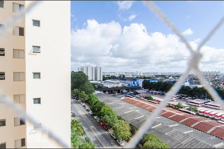 Apartamento à venda com 57m², 2 quartos e 1 vagaVista