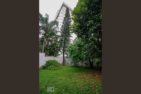 Casa para alugar com 320m², 8 quartos e 2 vagasQuintal