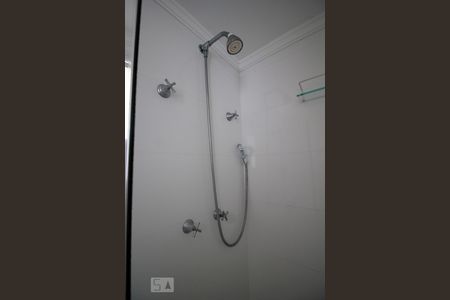 Chuveiro de apartamento para alugar com 2 quartos, 56m² em Parque Reboucas, São Paulo