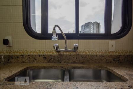 Apartamento à venda com 250m², 3 quartos e 2 vagasCozinha