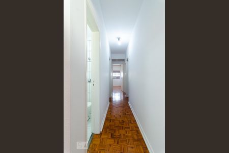 Corredor de apartamento para alugar com 3 quartos, 140m² em Centro, Campinas