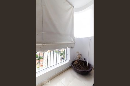 Sacada de apartamento para alugar com 3 quartos, 180m² em Cambuí, Campinas