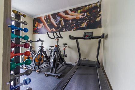 Apartamento à venda com 60m², 3 quartos e sem vaga Apartamento à venda com 60m², 3 quartos e sem vagaÁrea comum - Academia