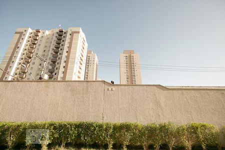 Apartamento à venda com 63m², 3 quartos e 1 vaga Apartamento à venda com 63m², 3 quartos e 1 vagaVista suíte