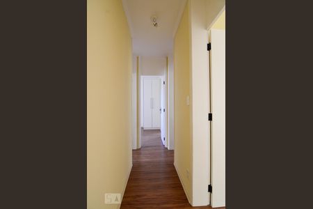 Corredor de apartamento à venda com 3 quartos, 100m² em Cambuí, Campinas