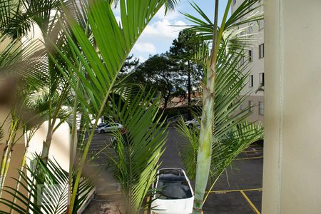 VISTA SALA de apartamento para alugar com 2 quartos, 50m² em Vila Nova Cachoeirinha, São Paulo