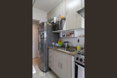 Cozinha de apartamento para alugar com 2 quartos, 49m² em Ipiranga, São Paulo