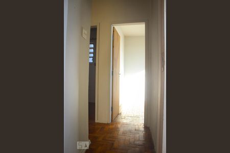 Corredor de apartamento para alugar com 2 quartos, 50m² em São Lucas, Belo Horizonte
