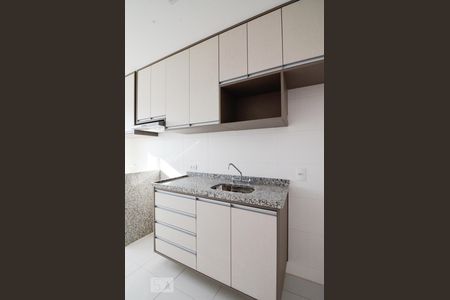 Cozinha de apartamento para alugar com 2 quartos, 58m² em Jardim Chapadão, Campinas
