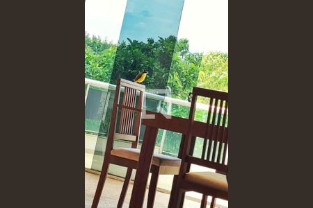 Apartamento para alugar com 3 quartos, 259m² em Barra da Tijuca, Rio de Janeiro