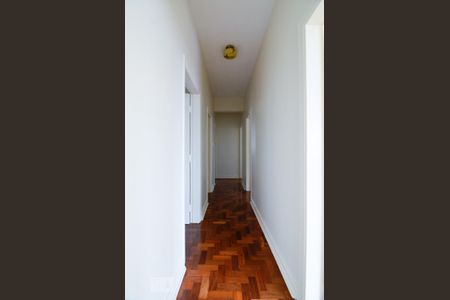 Corredor de apartamento para alugar com 4 quartos, 130m² em Centro, Campinas