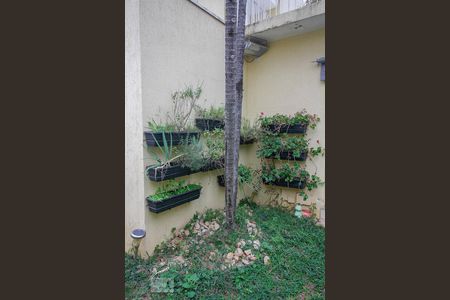 Casa à venda com 500m², 7 quartos e 3 vagas Casa à venda com 500m², 7 quartos e 3 vagasHorta