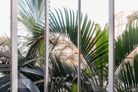 Vista de casa para alugar com 3 quartos, 245m² em Penha de França, São Paulo