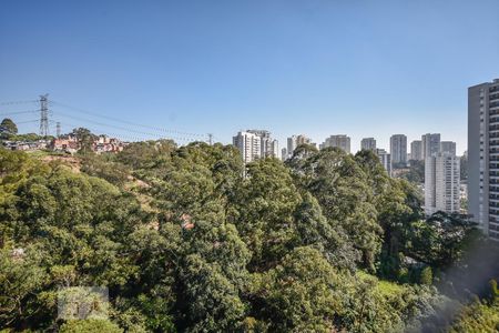 Vista da Sala de apartamento para alugar com 2 quartos, 78m² em Vila Andrade, São Paulo