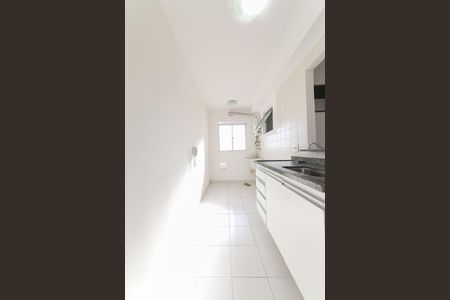 Apartamento para alugar com 62m², 3 quartos e 1 vaga Apartamento para alugar com 62m², 3 quartos e 1 vagaCozinha