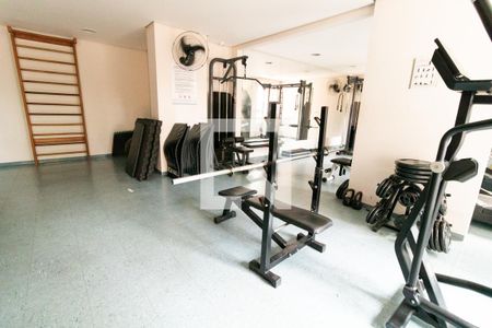 Apartamento para alugar com 70m², 3 quartos e 1 vaga Apartamento para alugar com 70m², 3 quartos e 1 vagaÁrea comum - Academia