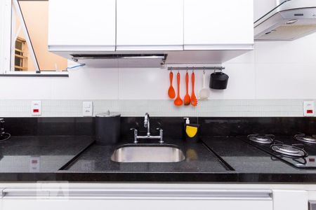 Cozinha de apartamento para alugar com 2 quartos, 81m² em Laranjeiras, Rio de Janeiro