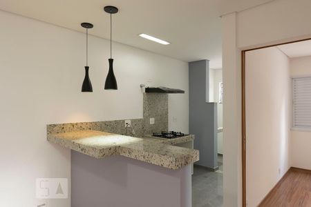 Cozinha de apartamento para alugar com 1 quarto, 38m² em Vila Mariana, São Paulo