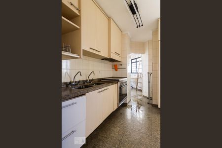 Apartamento para alugar com 213m², 3 quartos e 3 vagasCozinha 