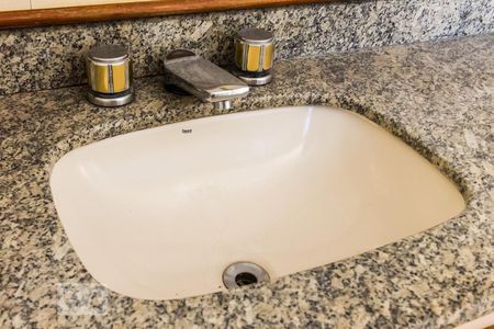 Apartamento para alugar com 213m², 3 quartos e 3 vagasDetalhe da pia 