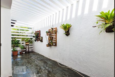 Jardim de Inverno de casa à venda com 5 quartos, 320m² em Vila Nogueira, Campinas