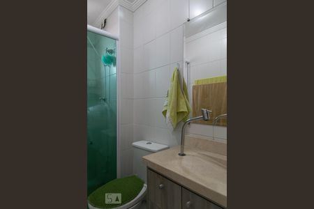 Banheiro  de apartamento para alugar com 1 quarto, 30m² em Cambuci, São Paulo
