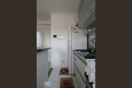 Cozinha de apartamento para alugar com 1 quarto, 30m² em Cambuci, São Paulo
